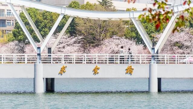 7747426b-917a-4482-a6db-2a9327d9d78e.jpg 7747426b-917a-4482-a6db-2a9327d9d78e.jpg